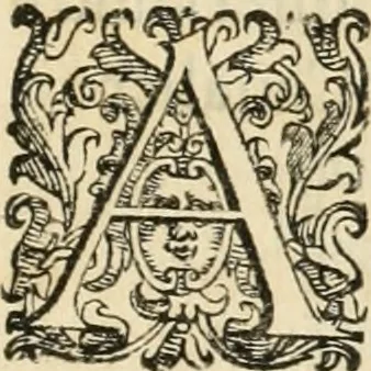 An illustration from Descrizzione della barriera e della mascherata : fatte in Firenze a' XVII. & a' XIX. di febbraio MDCXII al serenissimo signor prencipe d'Vrbino, 1613, leaf 10
