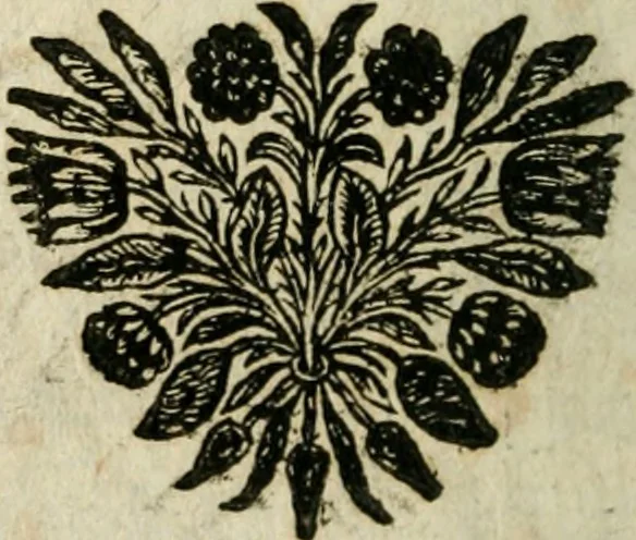 An illustration from Des decorations funebres, ou il est amplement traite' des tentures, des lumieres, des mausolées, catafalques, inscriptions & autres ornemens funebres; avec tout ce qui s'est fait de plus considerable depuis plus d'un siecle, pour les papes, empereurs, rois, reines, cardinaux, princes, prelats, sçavans & personnes illustres en naissance, vertu & dignitè, &c. .., 1684, leaf 227