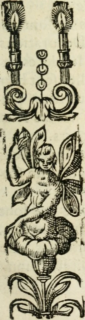 An illustration from Des decorations funebres, ou il est amplement traite' des tentures, des lumieres, des mausolées, catafalques, inscriptions & autres ornemens funebres; avec tout ce qui s'est fait de plus considerable depuis plus d'un siecle, pour les papes, empereurs, rois, reines, cardinaux, princes, prelats, sçavans & personnes illustres en naissance, vertu & dignitè, &c. .., 1684, leaf 238