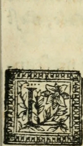 An illustration from Des decorations funebres, ou il est amplement traite' des tentures, des lumieres, des mausolées, catafalques, inscriptions & autres ornemens funebres; avec tout ce qui s'est fait de plus considerable depuis plus d'un siecle, pour les papes, empereurs, rois, reines, cardinaux, princes, prelats, sçavans & personnes illustres en naissance, vertu & dignitè, &c. .., 1684, leaf 28