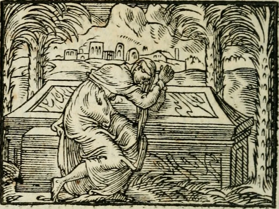 An illustration from Des decorations funebres, ou il est amplement traite' des tentures, des lumieres, des mausolées, catafalques, inscriptions & autres ornemens funebres; avec tout ce qui s'est fait de plus considerable depuis plus d'un siecle, pour les papes, empereurs, rois, reines, cardinaux, princes, prelats, sçavans & personnes illustres en naissance, vertu & dignitè, &c. .., 1684, leaf 319