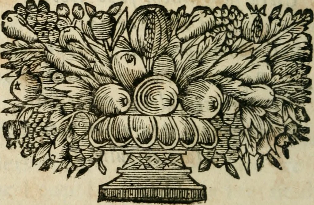 An illustration from Des decorations funebres, ou il est amplement traite' des tentures, des lumieres, des mausolées, catafalques, inscriptions & autres ornemens funebres; avec tout ce qui s'est fait de plus considerable depuis plus d'un siecle, pour les papes, empereurs, rois, reines, cardinaux, princes, prelats, sçavans & personnes illustres en naissance, vertu & dignitè, &c. .., 1684, leaf 385