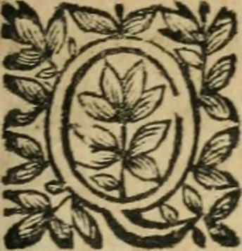 An illustration from Des decorations funebres, ou il est amplement traite' des tentures, des lumieres, des mausolées, catafalques, inscriptions & autres ornemens funebres; avec tout ce qui s'est fait de plus considerable depuis plus d'un siecle, pour les papes, empereurs, rois, reines, cardinaux, princes, prelats, sçavans & personnes illustres en naissance, vertu & dignitè, &c. .., 1684, leaf 58