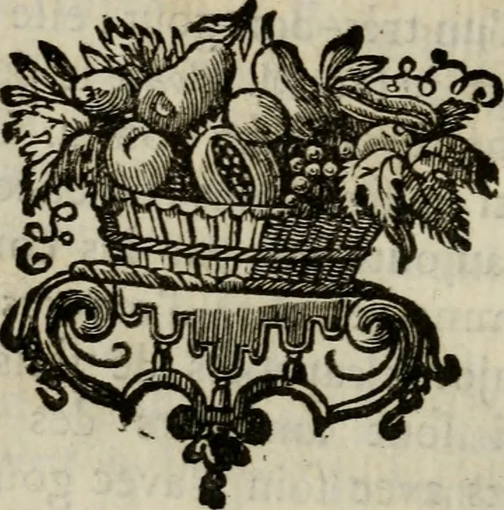 An illustration from Catalogue raisonné des differens effets curieux & rares contenus dans le cabinet de feu M. le chevalier de La Roque : ce cabinet renferme une collection considerable de tableaux, de desseins, & d'estampes des meilleurs maîtres; de figures de bronze & de marbre; de porcelaines anciennes ... de pierres ... de coquilles, & enfin de nombre d'autres morceaux interressans de divers genres, 1745, leaf 135