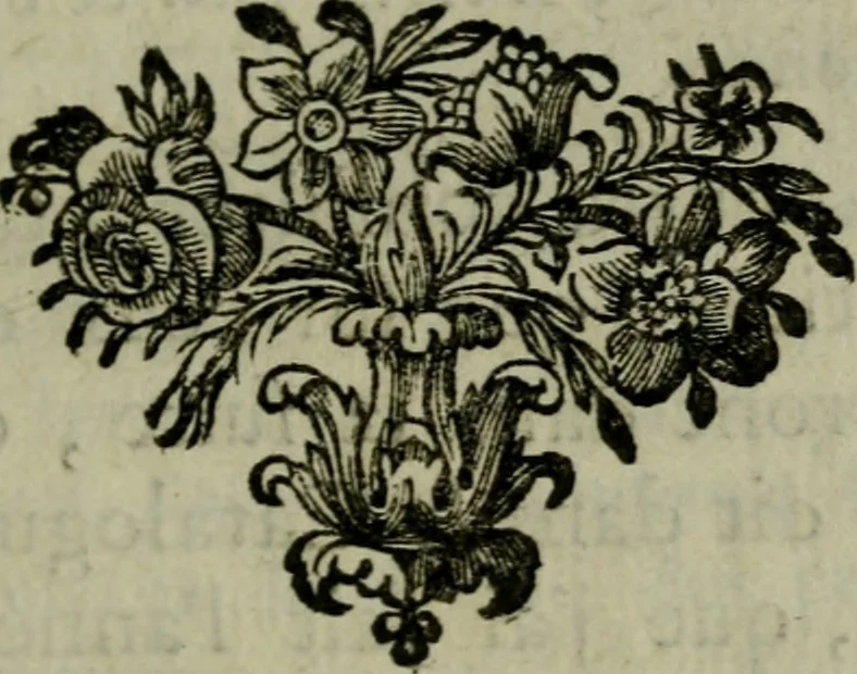 An illustration from Catalogue raisonné des differens effets curieux & rares contenus dans le cabinet de feu M. le chevalier de La Roque : ce cabinet renferme une collection considerable de tableaux, de desseins, & d'estampes des meilleurs maîtres; de figures de bronze & de marbre; de porcelaines anciennes ... de pierres ... de coquilles, & enfin de nombre d'autres morceaux interressans de divers genres, 1745, leaf 202