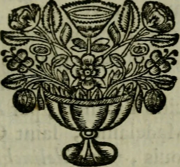 An illustration from Catalogue raisonné des differens effets curieux & rares contenus dans le cabinet de feu M. le chevalier de La Roque : ce cabinet renferme une collection considerable de tableaux, de desseins, & d'estampes des meilleurs maîtres; de figures de bronze & de marbre; de porcelaines anciennes ... de pierres ... de coquilles, & enfin de nombre d'autres morceaux interressans de divers genres, 1745, leaf 206
