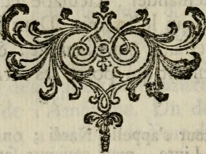 An illustration from Catalogue raisonné des diverses curiosités du cabinet de feu M. Quentin de Lorangere, composé de tableaux originaux des meilleurs maîtres de Flandres, d'une très-nombreuse collection de desseins & d'estampes de toutes les ecoles, de plusieurs atlas & suites de cartes, de quantité de morceaux de topographie, & d'un coquillier fait avec choix ..., 1744, leaf 153