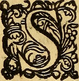 An illustration from De secretis mulierum. Item, de virtutibus herbarum, lapidum et animalium, 1669, leaf 121