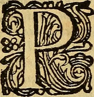 An illustration from De secretis mulierum. Item, de virtutibus herbarum, lapidum et animalium, 1669, leaf 13