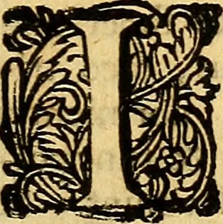 An illustration from De secretis mulierum. Item, de virtutibus herbarum, lapidum et animalium, 1669, leaf 134