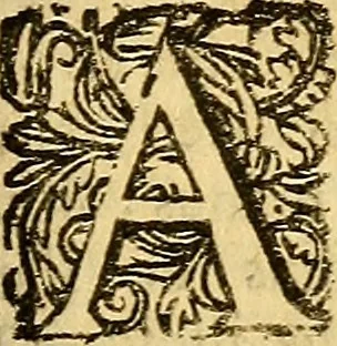 An illustration from De secretis mulierum. Item, de virtutibus herbarum, lapidum et animalium, 1669, leaf 294