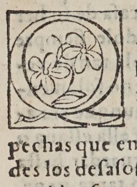 An illustration from Desengaño de celos, 1586, leaf 538