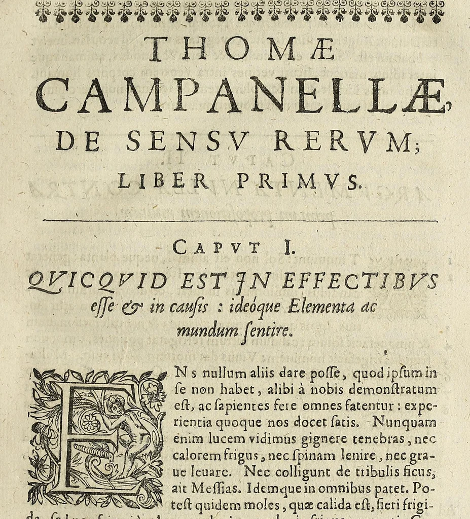 An illustration from ... De sensv rervm, et magia, libros qvatvor, 1637, leaf 113