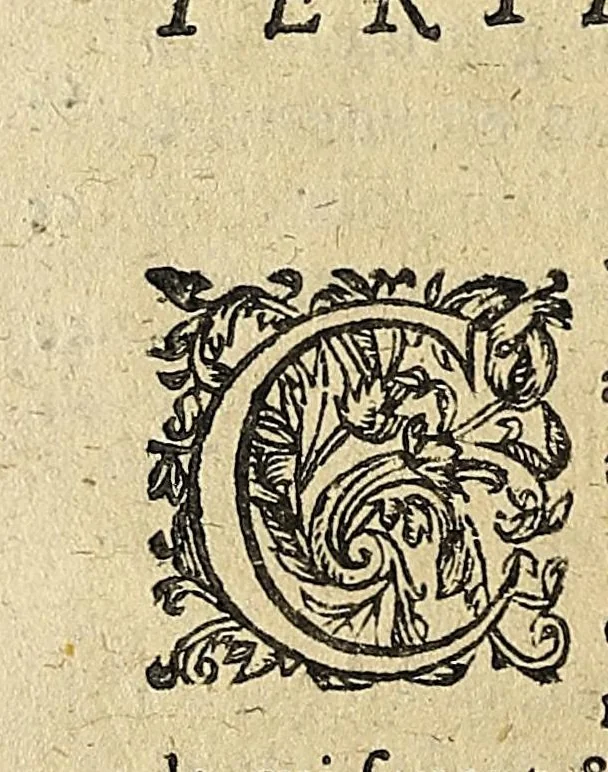 An illustration from ... De sensv rervm, et magia, libros qvatvor, 1637, leaf 26