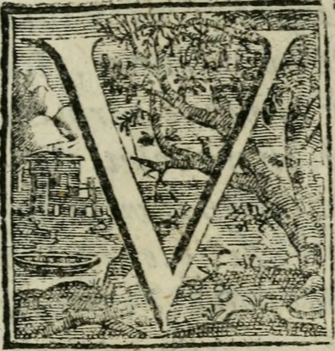 An illustration from De serpente aeneo Ambrosianae basilicae Mediolani micrologus, 1675, leaf 14