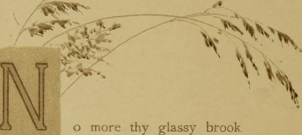 An illustration from The deserted village, 1800, leaf 11