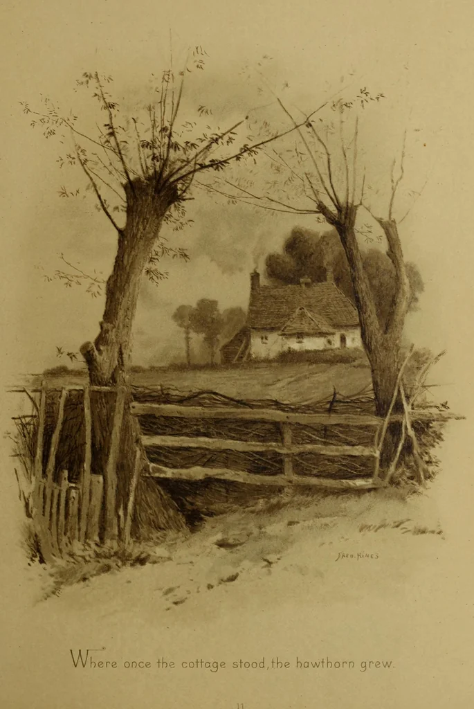 An illustration from The deserted village, 1800, leaf 14
