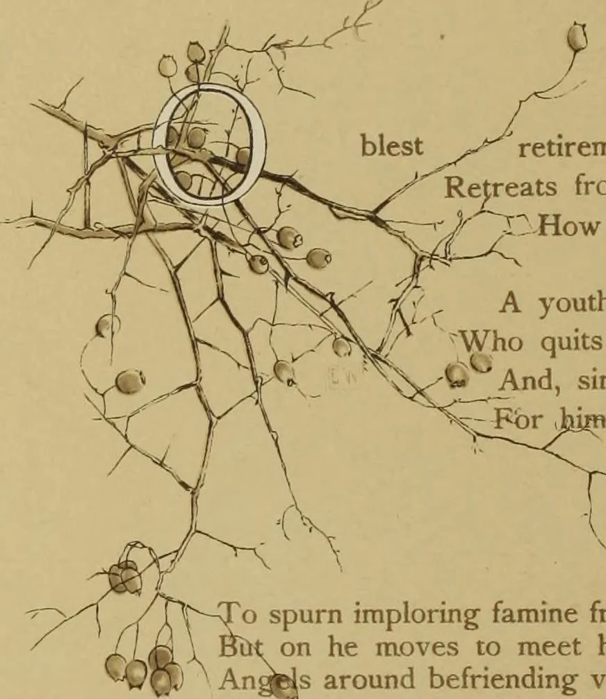An illustration from The deserted village, 1800, leaf 15