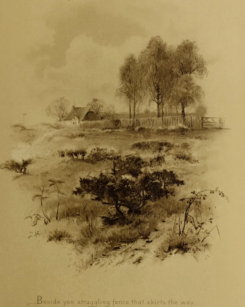 An illustration from The deserted village, 1800, leaf 28