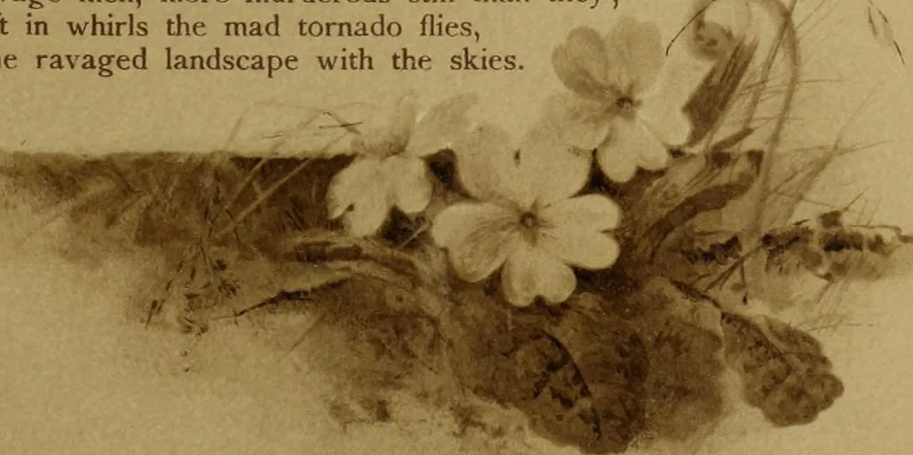An illustration from The deserted village, 1800, leaf 40