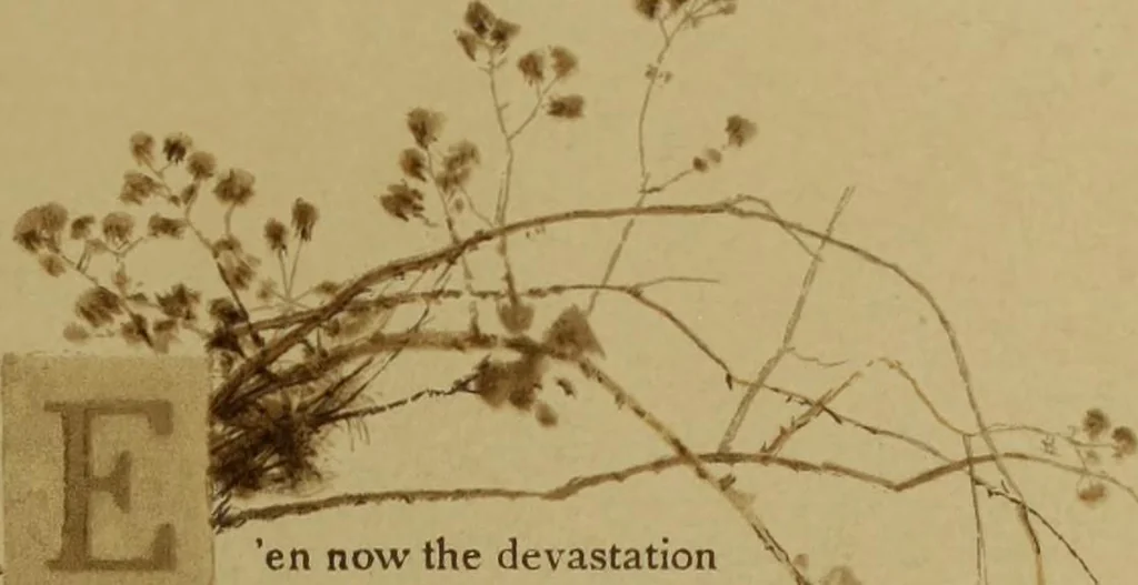 An illustration from The deserted village, 1800, leaf 48