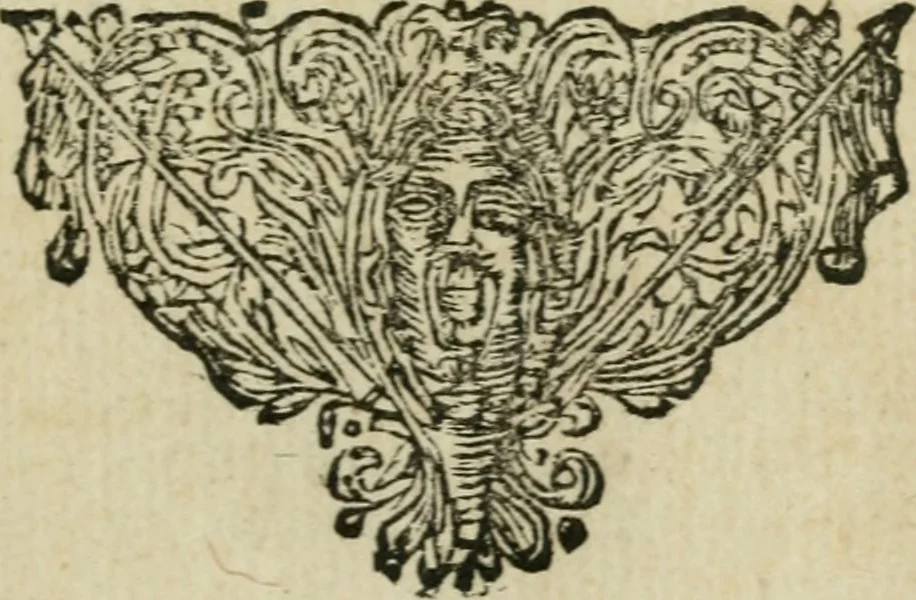 An illustration from Des gottseeligen hocherleuchteten Jacob Böhmens teutonici Philosophi Alle theosophische Wercken : darinnen alle tieffe Geheimnüsse Gottes der ewigen und zeitlichen Natur und Creatur : samt dem wahren Grunde christlicher Religion und der Gottseeligkeit, nach dem apostolischen Gezeugnüss offenbahrer werden : theils aus des Authoris eigenen Originalen, theils aus den ersten und nachgesehenen besten Copyen auffs fleissigste corrigiret : und in Beyfügung etlicher Clavium so vorhin noch nie gedruckt, nebenst einem zweyfachen Register : den Liebhabern göttlicher und natürlicher Weissheit zum besten an Tag gegeben, 1682, leaf 1002