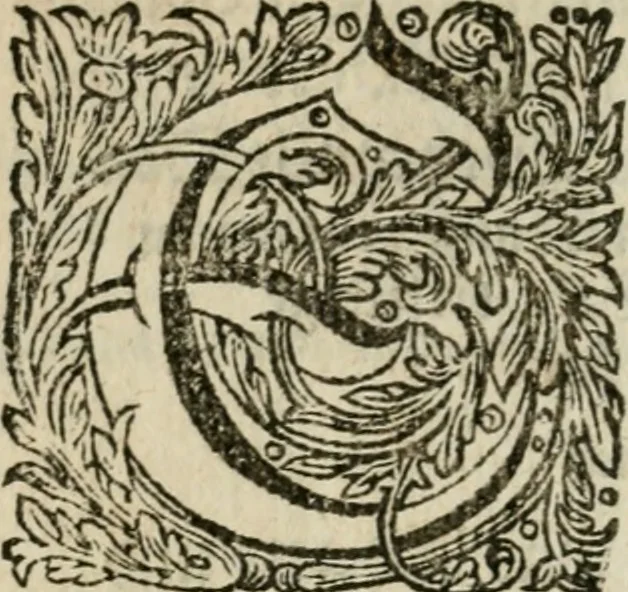 An illustration from Des gottseeligen hocherleuchteten Jacob Böhmens teutonici Philosophi Alle theosophische Wercken : darinnen alle tieffe Geheimnüsse Gottes der ewigen und zeitlichen Natur und Creatur : samt dem wahren Grunde christlicher Religion und der Gottseeligkeit, nach dem apostolischen Gezeugnüss offenbahrer werden : theils aus des Authoris eigenen Originalen, theils aus den ersten und nachgesehenen besten Copyen auffs fleissigste corrigiret : und in Beyfügung etlicher Clavium so vorhin noch nie gedruckt, nebenst einem zweyfachen Register : den Liebhabern göttlicher und natürlicher Weissheit zum besten an Tag gegeben, 1682, leaf 1009