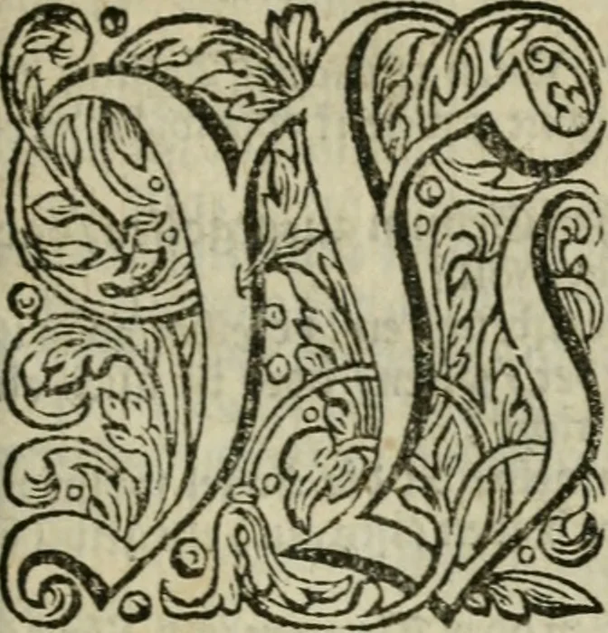 An illustration from Des gottseeligen hocherleuchteten Jacob Böhmens teutonici Philosophi Alle theosophische Wercken : darinnen alle tieffe Geheimnüsse Gottes der ewigen und zeitlichen Natur und Creatur : samt dem wahren Grunde christlicher Religion und der Gottseeligkeit, nach dem apostolischen Gezeugnüss offenbahrer werden : theils aus des Authoris eigenen Originalen, theils aus den ersten und nachgesehenen besten Copyen auffs fleissigste corrigiret : und in Beyfügung etlicher Clavium so vorhin noch nie gedruckt, nebenst einem zweyfachen Register : den Liebhabern göttlicher und natürlicher Weissheit zum besten an Tag gegeben, 1682, leaf 1010