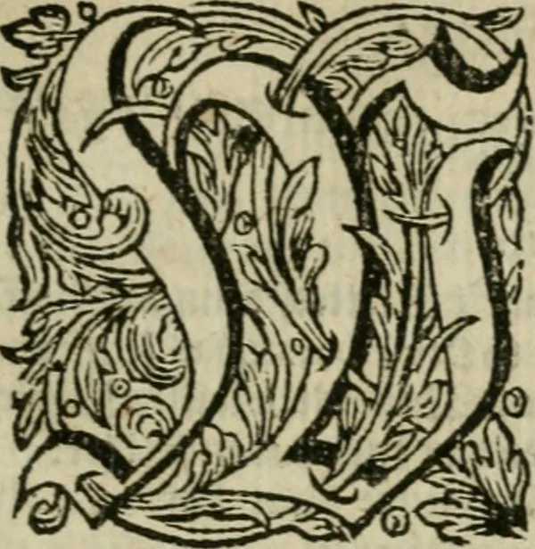 An illustration from Des gottseeligen hocherleuchteten Jacob Böhmens teutonici Philosophi Alle theosophische Wercken : darinnen alle tieffe Geheimnüsse Gottes der ewigen und zeitlichen Natur und Creatur : samt dem wahren Grunde christlicher Religion und der Gottseeligkeit, nach dem apostolischen Gezeugnüss offenbahrer werden : theils aus des Authoris eigenen Originalen, theils aus den ersten und nachgesehenen besten Copyen auffs fleissigste corrigiret : und in Beyfügung etlicher Clavium so vorhin noch nie gedruckt, nebenst einem zweyfachen Register : den Liebhabern göttlicher und natürlicher Weissheit zum besten an Tag gegeben, 1682, leaf 1022