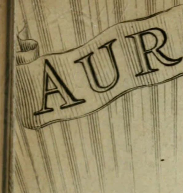 An illustration from Des gottseeligen hocherleuchteten Jacob Böhmens teutonici Philosophi Alle theosophische Wercken : darinnen alle tieffe Geheimnüsse Gottes der ewigen und zeitlichen Natur und Creatur : samt dem wahren Grunde christlicher Religion und der Gottseeligkeit, nach dem apostolischen Gezeugnüss offenbahrer werden : theils aus des Authoris eigenen Originalen, theils aus den ersten und nachgesehenen besten Copyen auffs fleissigste corrigiret : und in Beyfügung etlicher Clavium so vorhin noch nie gedruckt, nebenst einem zweyfachen Register : den Liebhabern göttlicher und natürlicher Weissheit zum besten an Tag gegeben, 1682, leaf 126