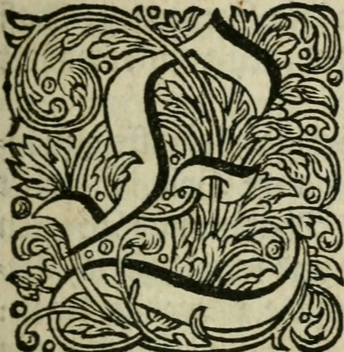 An illustration from Des gottseeligen hocherleuchteten Jacob Böhmens teutonici Philosophi Alle theosophische Wercken : darinnen alle tieffe Geheimnüsse Gottes der ewigen und zeitlichen Natur und Creatur : samt dem wahren Grunde christlicher Religion und der Gottseeligkeit, nach dem apostolischen Gezeugnüss offenbahrer werden : theils aus des Authoris eigenen Originalen, theils aus den ersten und nachgesehenen besten Copyen auffs fleissigste corrigiret : und in Beyfügung etlicher Clavium so vorhin noch nie gedruckt, nebenst einem zweyfachen Register : den Liebhabern göttlicher und natürlicher Weissheit zum besten an Tag gegeben, 1682, leaf 18