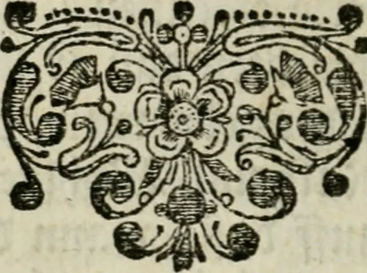 An illustration from Des gottseeligen hocherleuchteten Jacob Böhmens teutonici Philosophi Alle theosophische Wercken : darinnen alle tieffe Geheimnüsse Gottes der ewigen und zeitlichen Natur und Creatur : samt dem wahren Grunde christlicher Religion und der Gottseeligkeit, nach dem apostolischen Gezeugnüss offenbahrer werden : theils aus des Authoris eigenen Originalen, theils aus den ersten und nachgesehenen besten Copyen auffs fleissigste corrigiret : und in Beyfügung etlicher Clavium so vorhin noch nie gedruckt, nebenst einem zweyfachen Register : den Liebhabern göttlicher und natürlicher Weissheit zum besten an Tag gegeben, 1682, leaf 29
