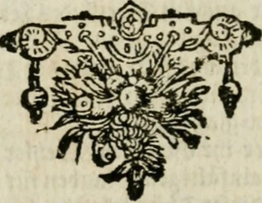 An illustration from Des gottseeligen hocherleuchteten Jacob Böhmens teutonici Philosophi Alle theosophische Wercken : darinnen alle tieffe Geheimnüsse Gottes der ewigen und zeitlichen Natur und Creatur : samt dem wahren Grunde christlicher Religion und der Gottseeligkeit, nach dem apostolischen Gezeugnüss offenbahrer werden : theils aus des Authoris eigenen Originalen, theils aus den ersten und nachgesehenen besten Copyen auffs fleissigste corrigiret : und in Beyfügung etlicher Clavium so vorhin noch nie gedruckt, nebenst einem zweyfachen Register : den Liebhabern göttlicher und natürlicher Weissheit zum besten an Tag gegeben, 1682, leaf 539