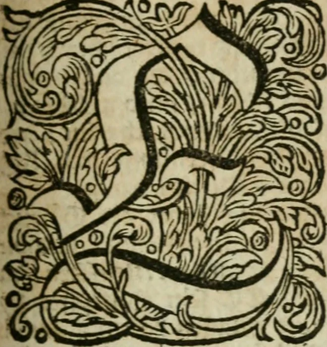 An illustration from Des gottseeligen hocherleuchteten Jacob Böhmens teutonici Philosophi Alle theosophische Wercken : darinnen alle tieffe Geheimnüsse Gottes der ewigen und zeitlichen Natur und Creatur : samt dem wahren Grunde christlicher Religion und der Gottseeligkeit, nach dem apostolischen Gezeugnüss offenbahrer werden : theils aus des Authoris eigenen Originalen, theils aus den ersten und nachgesehenen besten Copyen auffs fleissigste corrigiret : und in Beyfügung etlicher Clavium so vorhin noch nie gedruckt, nebenst einem zweyfachen Register : den Liebhabern göttlicher und natürlicher Weissheit zum besten an Tag gegeben, 1682, leaf 550