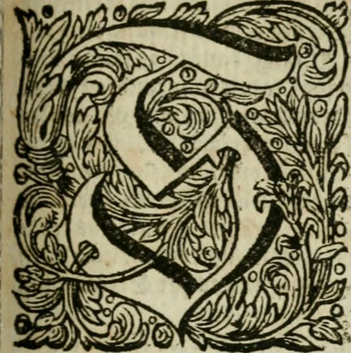 An illustration from Des gottseeligen hocherleuchteten Jacob Böhmens teutonici Philosophi Alle theosophische Wercken : darinnen alle tieffe Geheimnüsse Gottes der ewigen und zeitlichen Natur und Creatur : samt dem wahren Grunde christlicher Religion und der Gottseeligkeit, nach dem apostolischen Gezeugnüss offenbahrer werden : theils aus des Authoris eigenen Originalen, theils aus den ersten und nachgesehenen besten Copyen auffs fleissigste corrigiret : und in Beyfügung etlicher Clavium so vorhin noch nie gedruckt, nebenst einem zweyfachen Register : den Liebhabern göttlicher und natürlicher Weissheit zum besten an Tag gegeben, 1682, leaf 558