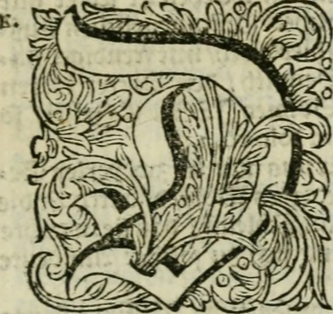 An illustration from Des gottseeligen hocherleuchteten Jacob Böhmens teutonici Philosophi Alle theosophische Wercken : darinnen alle tieffe Geheimnüsse Gottes der ewigen und zeitlichen Natur und Creatur : samt dem wahren Grunde christlicher Religion und der Gottseeligkeit, nach dem apostolischen Gezeugnüss offenbahrer werden : theils aus des Authoris eigenen Originalen, theils aus den ersten und nachgesehenen besten Copyen auffs fleissigste corrigiret : und in Beyfügung etlicher Clavium so vorhin noch nie gedruckt, nebenst einem zweyfachen Register : den Liebhabern göttlicher und natürlicher Weissheit zum besten an Tag gegeben, 1682, leaf 1004