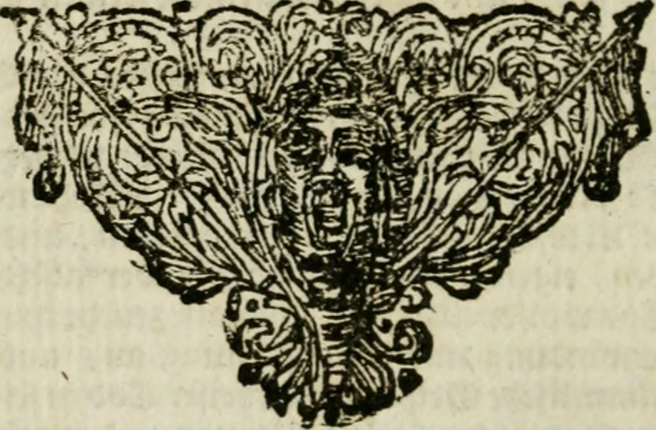An illustration from Des gottseeligen hocherleuchteten Jacob Böhmens teutonici Philosophi Alle theosophische Wercken : darinnen alle tieffe Geheimnüsse Gottes der ewigen und zeitlichen Natur und Creatur : samt dem wahren Grunde christlicher Religion und der Gottseeligkeit, nach dem apostolischen Gezeugnüss offenbahrer werden : theils aus des Authoris eigenen Originalen, theils aus den ersten und nachgesehenen besten Copyen auffs fleissigste corrigiret : und in Beyfügung etlicher Clavium so vorhin noch nie gedruckt, nebenst einem zweyfachen Register : den Liebhabern göttlicher und natürlicher Weissheit zum besten an Tag gegeben, 1682, leaf 1009