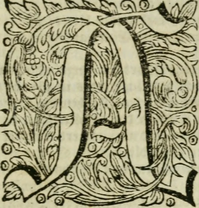 An illustration from Des gottseeligen hocherleuchteten Jacob Böhmens teutonici Philosophi Alle theosophische Wercken : darinnen alle tieffe Geheimnüsse Gottes der ewigen und zeitlichen Natur und Creatur : samt dem wahren Grunde christlicher Religion und der Gottseeligkeit, nach dem apostolischen Gezeugnüss offenbahrer werden : theils aus des Authoris eigenen Originalen, theils aus den ersten und nachgesehenen besten Copyen auffs fleissigste corrigiret : und in Beyfügung etlicher Clavium so vorhin noch nie gedruckt, nebenst einem zweyfachen Register : den Liebhabern göttlicher und natürlicher Weissheit zum besten an Tag gegeben, 1682, leaf 1010