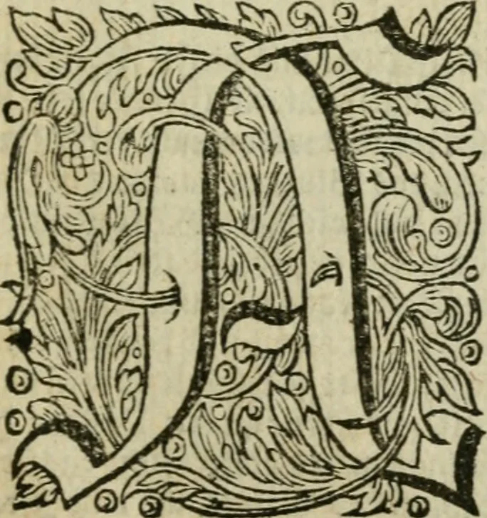 An illustration from Des gottseeligen hocherleuchteten Jacob Böhmens teutonici Philosophi Alle theosophische Wercken : darinnen alle tieffe Geheimnüsse Gottes der ewigen und zeitlichen Natur und Creatur : samt dem wahren Grunde christlicher Religion und der Gottseeligkeit, nach dem apostolischen Gezeugnüss offenbahrer werden : theils aus des Authoris eigenen Originalen, theils aus den ersten und nachgesehenen besten Copyen auffs fleissigste corrigiret : und in Beyfügung etlicher Clavium so vorhin noch nie gedruckt, nebenst einem zweyfachen Register : den Liebhabern göttlicher und natürlicher Weissheit zum besten an Tag gegeben, 1682, leaf 1046