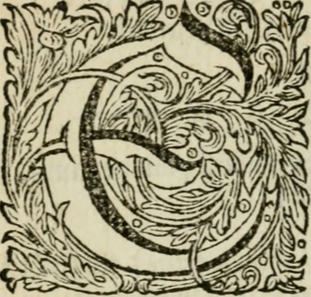 An illustration from Des gottseeligen hocherleuchteten Jacob Böhmens teutonici Philosophi Alle theosophische Wercken : darinnen alle tieffe Geheimnüsse Gottes der ewigen und zeitlichen Natur und Creatur : samt dem wahren Grunde christlicher Religion und der Gottseeligkeit, nach dem apostolischen Gezeugnüss offenbahrer werden : theils aus des Authoris eigenen Originalen, theils aus den ersten und nachgesehenen besten Copyen auffs fleissigste corrigiret : und in Beyfügung etlicher Clavium so vorhin noch nie gedruckt, nebenst einem zweyfachen Register : den Liebhabern göttlicher und natürlicher Weissheit zum besten an Tag gegeben, 1682, leaf 1089