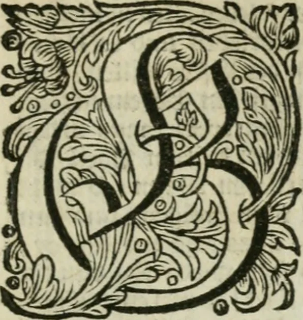 An illustration from Des gottseeligen hocherleuchteten Jacob Böhmens teutonici Philosophi Alle theosophische Wercken : darinnen alle tieffe Geheimnüsse Gottes der ewigen und zeitlichen Natur und Creatur : samt dem wahren Grunde christlicher Religion und der Gottseeligkeit, nach dem apostolischen Gezeugnüss offenbahrer werden : theils aus des Authoris eigenen Originalen, theils aus den ersten und nachgesehenen besten Copyen auffs fleissigste corrigiret : und in Beyfügung etlicher Clavium so vorhin noch nie gedruckt, nebenst einem zweyfachen Register : den Liebhabern göttlicher und natürlicher Weissheit zum besten an Tag gegeben, 1682, leaf 296