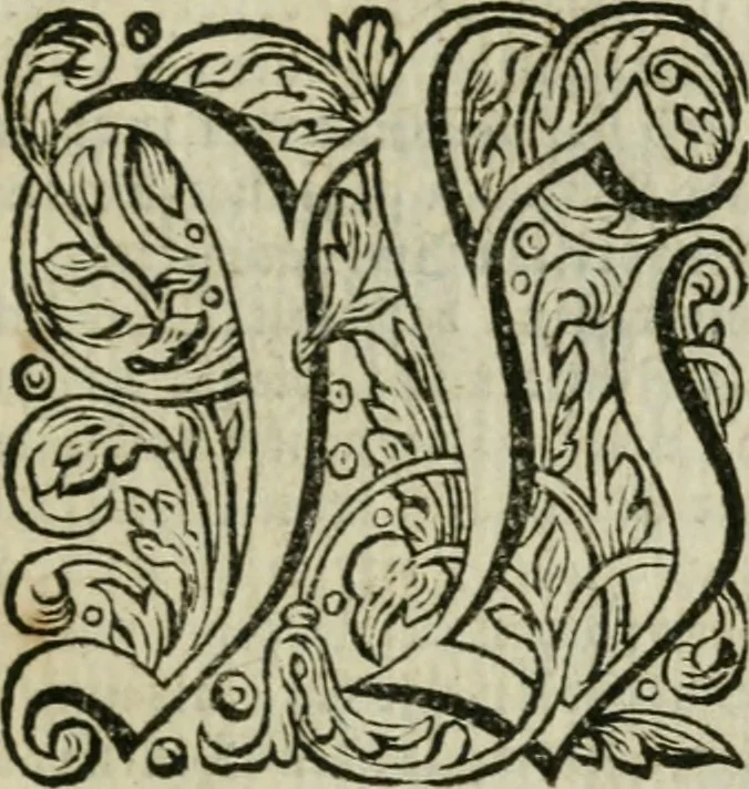 An illustration from Des gottseeligen hocherleuchteten Jacob Böhmens teutonici Philosophi Alle theosophische Wercken : darinnen alle tieffe Geheimnüsse Gottes der ewigen und zeitlichen Natur und Creatur : samt dem wahren Grunde christlicher Religion und der Gottseeligkeit, nach dem apostolischen Gezeugnüss offenbahrer werden : theils aus des Authoris eigenen Originalen, theils aus den ersten und nachgesehenen besten Copyen auffs fleissigste corrigiret : und in Beyfügung etlicher Clavium so vorhin noch nie gedruckt, nebenst einem zweyfachen Register : den Liebhabern göttlicher und natürlicher Weissheit zum besten an Tag gegeben, 1682, leaf 298