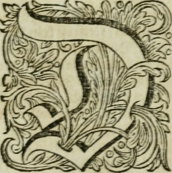 An illustration from Des gottseeligen hocherleuchteten Jacob Böhmens teutonici Philosophi Alle theosophische Wercken : darinnen alle tieffe Geheimnüsse Gottes der ewigen und zeitlichen Natur und Creatur : samt dem wahren Grunde christlicher Religion und der Gottseeligkeit, nach dem apostolischen Gezeugnüss offenbahrer werden : theils aus des Authoris eigenen Originalen, theils aus den ersten und nachgesehenen besten Copyen auffs fleissigste corrigiret : und in Beyfügung etlicher Clavium so vorhin noch nie gedruckt, nebenst einem zweyfachen Register : den Liebhabern göttlicher und natürlicher Weissheit zum besten an Tag gegeben, 1682, leaf 580