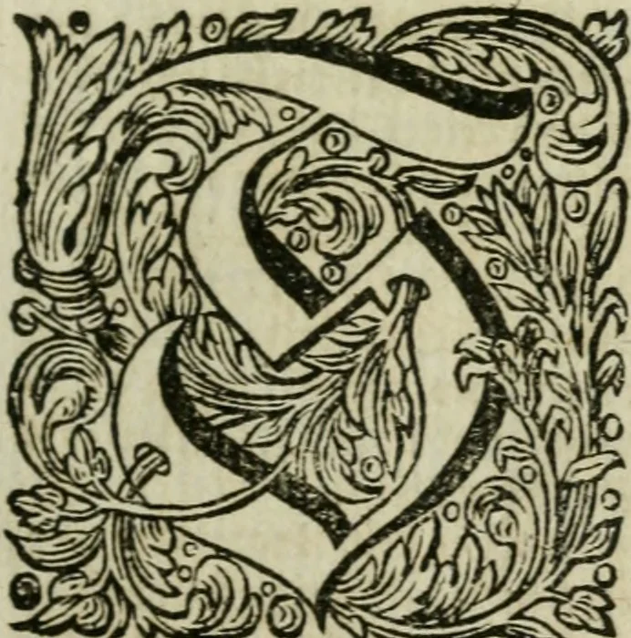 An illustration from Des gottseeligen hocherleuchteten Jacob Böhmens teutonici Philosophi Alle theosophische Wercken : darinnen alle tieffe Geheimnüsse Gottes der ewigen und zeitlichen Natur und Creatur : samt dem wahren Grunde christlicher Religion und der Gottseeligkeit, nach dem apostolischen Gezeugnüss offenbahrer werden : theils aus des Authoris eigenen Originalen, theils aus den ersten und nachgesehenen besten Copyen auffs fleissigste corrigiret : und in Beyfügung etlicher Clavium so vorhin noch nie gedruckt, nebenst einem zweyfachen Register : den Liebhabern göttlicher und natürlicher Weissheit zum besten an Tag gegeben, 1682, leaf 644