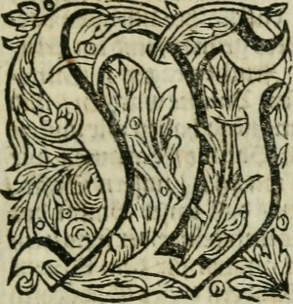 An illustration from Des gottseeligen hocherleuchteten Jacob Böhmens teutonici Philosophi Alle theosophische Wercken : darinnen alle tieffe Geheimnüsse Gottes der ewigen und zeitlichen Natur und Creatur : samt dem wahren Grunde christlicher Religion und der Gottseeligkeit, nach dem apostolischen Gezeugnüss offenbahrer werden : theils aus des Authoris eigenen Originalen, theils aus den ersten und nachgesehenen besten Copyen auffs fleissigste corrigiret : und in Beyfügung etlicher Clavium so vorhin noch nie gedruckt, nebenst einem zweyfachen Register : den Liebhabern göttlicher und natürlicher Weissheit zum besten an Tag gegeben, 1682, leaf 688