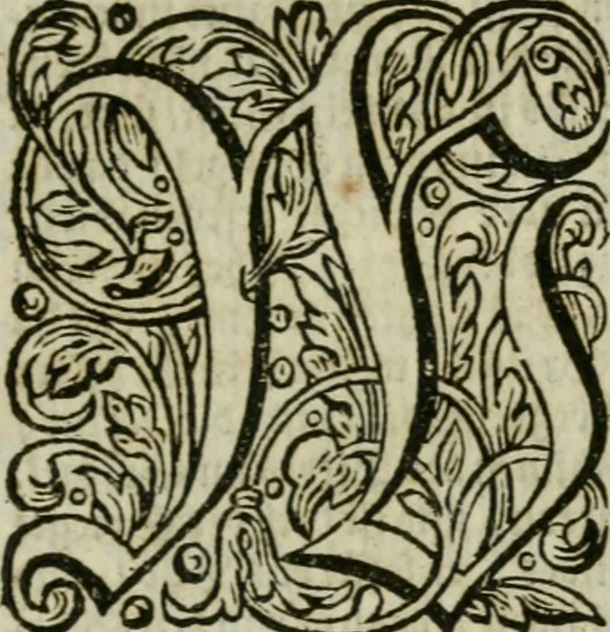 An illustration from Des gottseeligen hocherleuchteten Jacob Böhmens teutonici Philosophi Alle theosophische Wercken : darinnen alle tieffe Geheimnüsse Gottes der ewigen und zeitlichen Natur und Creatur : samt dem wahren Grunde christlicher Religion und der Gottseeligkeit, nach dem apostolischen Gezeugnüss offenbahrer werden : theils aus des Authoris eigenen Originalen, theils aus den ersten und nachgesehenen besten Copyen auffs fleissigste corrigiret : und in Beyfügung etlicher Clavium so vorhin noch nie gedruckt, nebenst einem zweyfachen Register : den Liebhabern göttlicher und natürlicher Weissheit zum besten an Tag gegeben, 1682, leaf 690