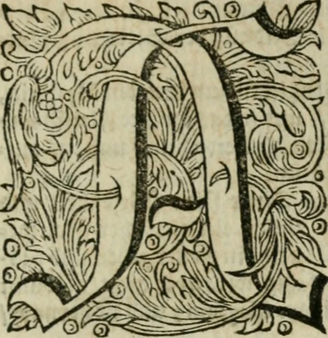 An illustration from Des gottseeligen hocherleuchteten Jacob Böhmens teutonici Philosophi Alle theosophische Wercken : darinnen alle tieffe Geheimnüsse Gottes der ewigen und zeitlichen Natur und Creatur : samt dem wahren Grunde christlicher Religion und der Gottseeligkeit, nach dem apostolischen Gezeugnüss offenbahrer werden : theils aus des Authoris eigenen Originalen, theils aus den ersten und nachgesehenen besten Copyen auffs fleissigste corrigiret : und in Beyfügung etlicher Clavium so vorhin noch nie gedruckt, nebenst einem zweyfachen Register : den Liebhabern göttlicher und natürlicher Weissheit zum besten an Tag gegeben, 1682, leaf 764