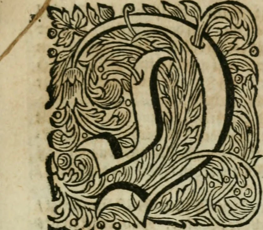 An illustration from Des gottseeligen hocherleuchteten Jacob Böhmens teutonici Philosophi Alle theosophische Wercken : darinnen alle tieffe Geheimnüsse Gottes der ewigen und zeitlichen Natur und Creatur : samt dem wahren Grunde christlicher Religion und der Gottseeligkeit, nach dem apostolischen Gezeugnüss offenbahrer werden : theils aus des Authoris eigenen Originalen, theils aus den ersten und nachgesehenen besten Copyen auffs fleissigste corrigiret : und in Beyfügung etlicher Clavium so vorhin noch nie gedruckt, nebenst einem zweyfachen Register : den Liebhabern göttlicher und natürlicher Weissheit zum besten an Tag gegeben, 1682, leaf 782