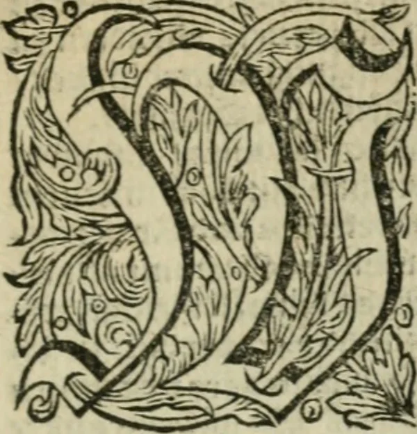 An illustration from Des gottseeligen hocherleuchteten Jacob Böhmens teutonici Philosophi Alle theosophische Wercken : darinnen alle tieffe Geheimnüsse Gottes der ewigen und zeitlichen Natur und Creatur : samt dem wahren Grunde christlicher Religion und der Gottseeligkeit, nach dem apostolischen Gezeugnüss offenbahrer werden : theils aus des Authoris eigenen Originalen, theils aus den ersten und nachgesehenen besten Copyen auffs fleissigste corrigiret : und in Beyfügung etlicher Clavium so vorhin noch nie gedruckt, nebenst einem zweyfachen Register : den Liebhabern göttlicher und natürlicher Weissheit zum besten an Tag gegeben, 1682, leaf 800