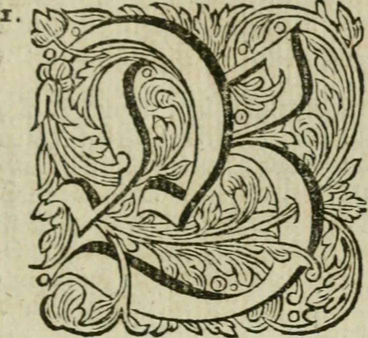 An illustration from Des gottseeligen hocherleuchteten Jacob Böhmens teutonici Philosophi Alle theosophische Wercken : darinnen alle tieffe Geheimnüsse Gottes der ewigen und zeitlichen Natur und Creatur : samt dem wahren Grunde christlicher Religion und der Gottseeligkeit, nach dem apostolischen Gezeugnüss offenbahrer werden : theils aus des Authoris eigenen Originalen, theils aus den ersten und nachgesehenen besten Copyen auffs fleissigste corrigiret : und in Beyfügung etlicher Clavium so vorhin noch nie gedruckt, nebenst einem zweyfachen Register : den Liebhabern göttlicher und natürlicher Weissheit zum besten an Tag gegeben, 1682, leaf 802